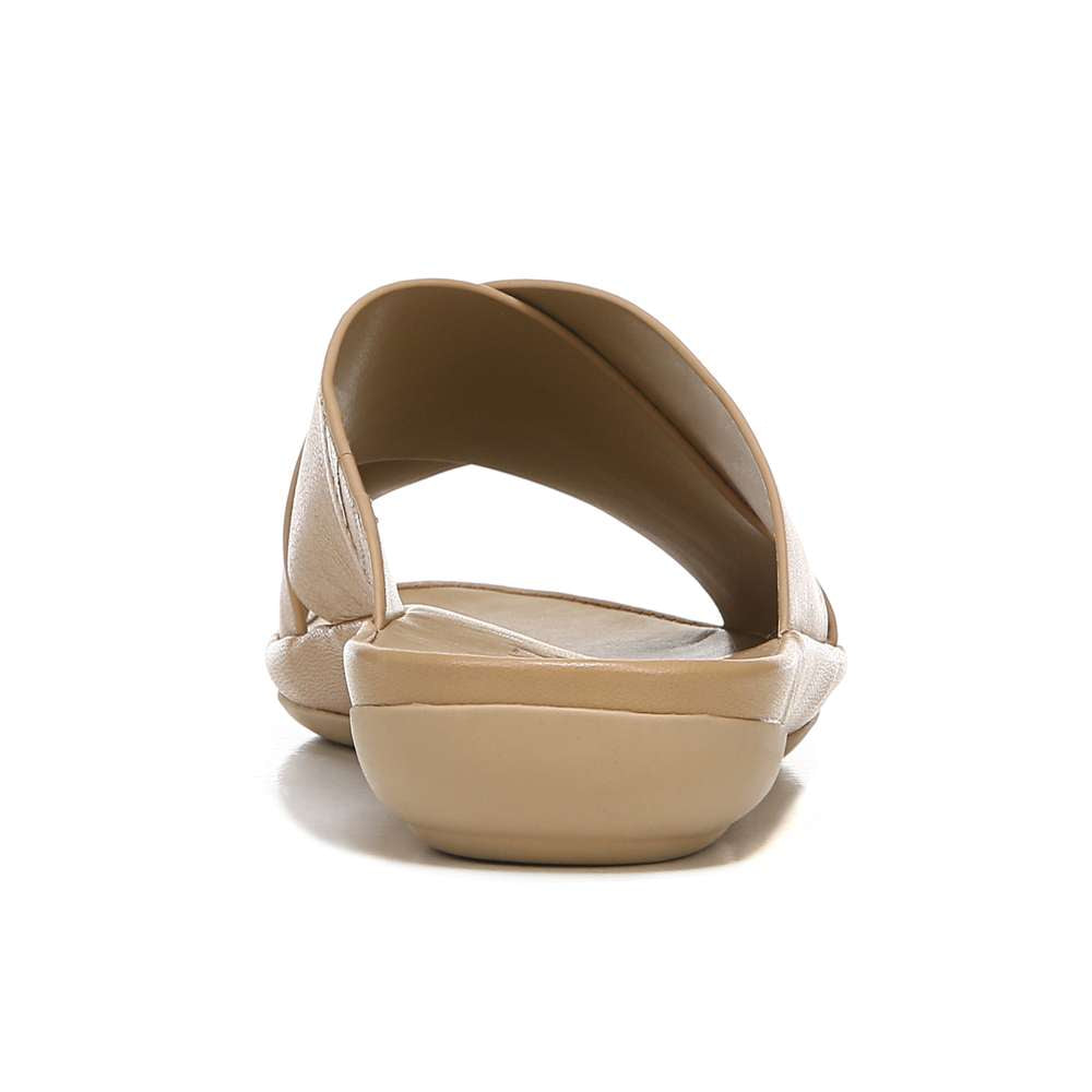 Gen N Stroll - Birchwood